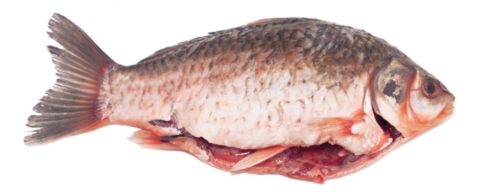 孕妇常喝鱼汤好处多 哪些鱼汤适合孕妇喝