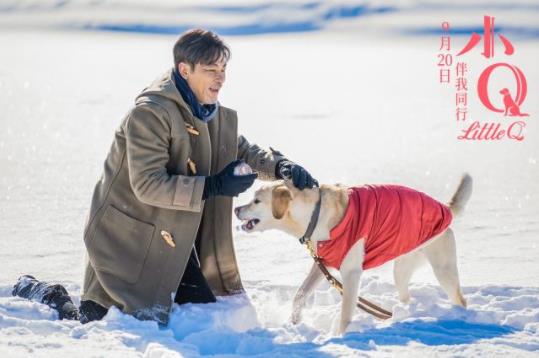 小Q票房破亿怎么回事 电影小Q讲述了什么感人故事