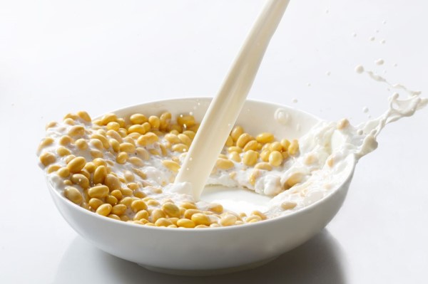 哪些食物下奶最快最好 这些催奶秘方必须收藏