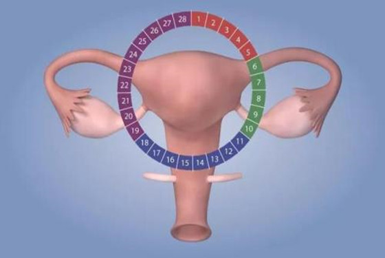 女性没有怀上要做什么检查呢?有哪些原因?