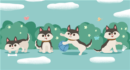 胎教故事大全每天一个:小鸟的波达狗妈妈