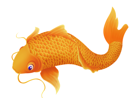 孕期爸爸胎教故事大全:小鲤鱼住新居