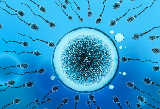 试管婴儿胚胎移植后未着床如何护理 试管婴儿胚胎移植后未着床如何护理