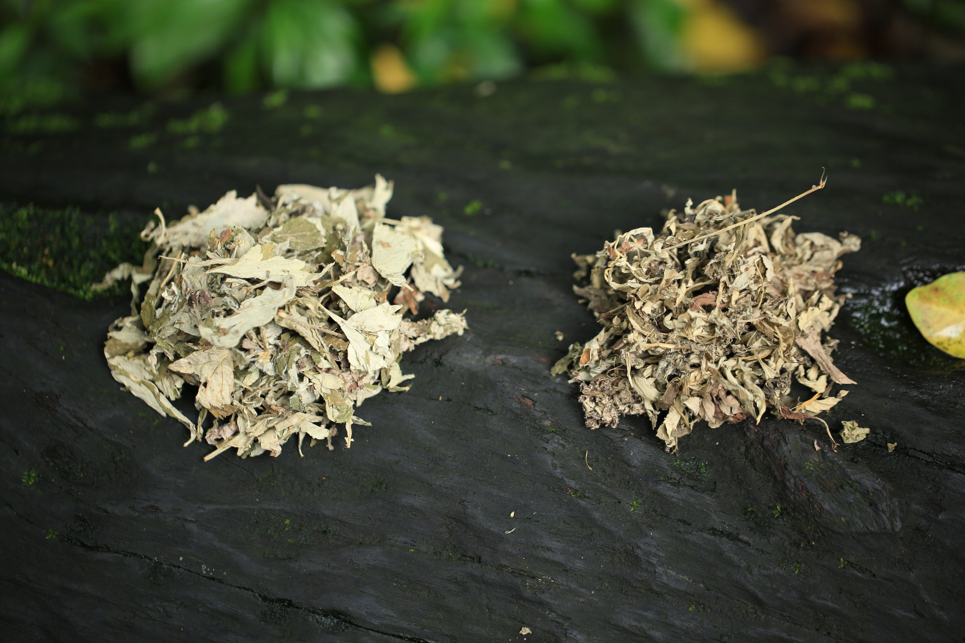 孕妇用艾叶炖鸡好还是艾根炖鸡好 孕妇用艾叶炖鸡好还是艾根炖鸡好