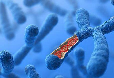 五十五女性如何提高受孕率?高龄产妇备孕前准备有哪些