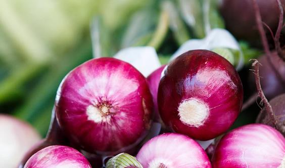 哺乳期为什么容易饿,吃什么比较好