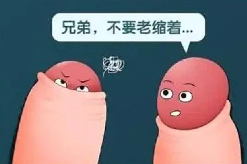 包皮,你割了吗
