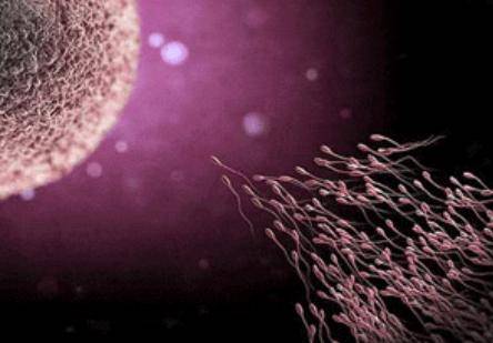 受精卵着床有什么症状?女性应该注意什么?