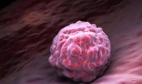 受精卵着床有什么症状?女性应该注意什么?