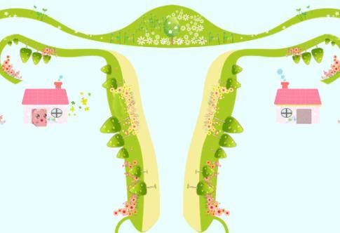 受精卵着床有什么症状?女性应该注意什么?