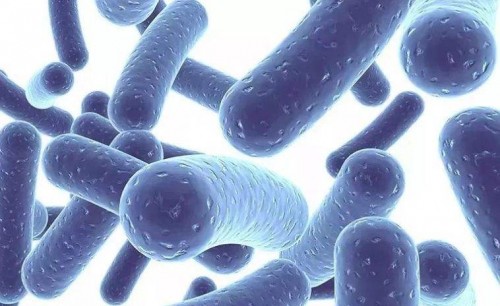 Mo Milk益生菌乳饮重新定义益生菌：孩子爱喝的,才是益生菌！