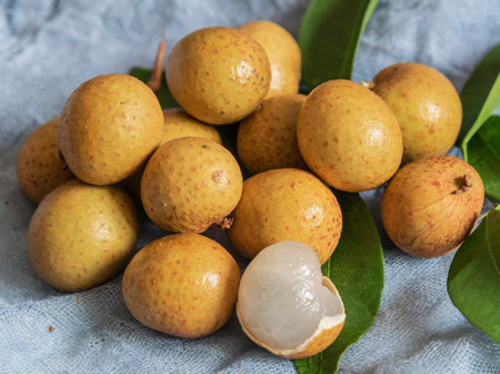 八个月宝宝可以吃桂圆吗