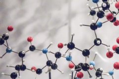 夏季备好Life-Space益生菌,宝宝肠道问题不再怕