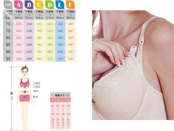 求解内衣尺码大小分类 各国文胸尺码对比