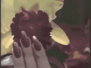 戏弄阴蒂的时机和方法