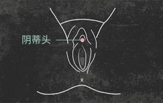 享受更嗨的性爱就要照顾好阴蒂【科普】
