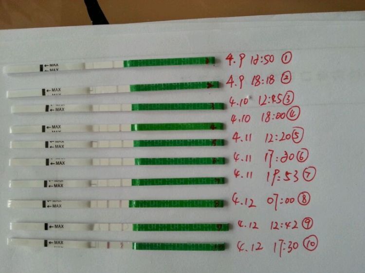 排卵试纸测早孕
