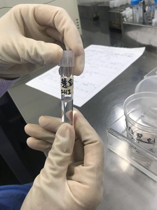 人工受精的过程3 【人工受精的过程】人工授精流程步骤_人工授精过程全解析