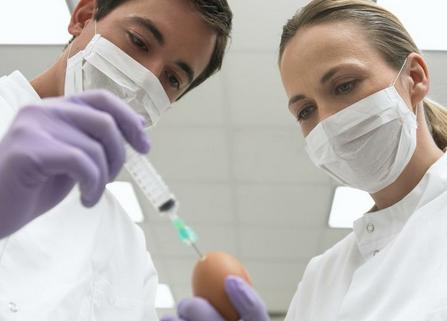 人工受精的过程4 【人工受精的过程】人工授精流程步骤_人工授精过程全解析