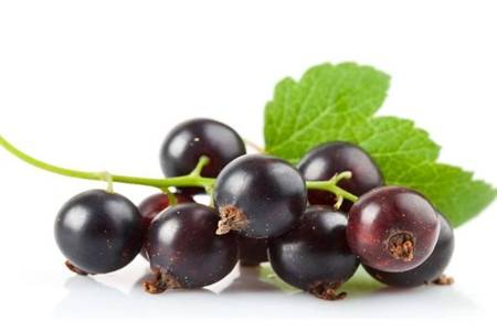 黑加仑的营养价值有哪些 女性吃黑加仑有什么好处