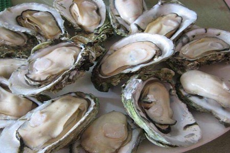 吃生蚝能增加生男孩几率?