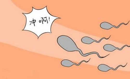 怎样做才能好怀孕：解锁夫妻性生活快速怀孕的姿势