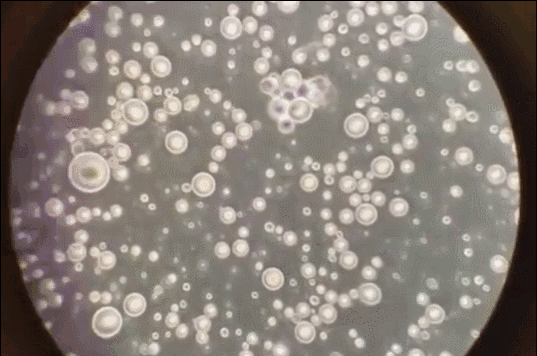 母乳喂养VS奶粉喂养,六个月VS十个月宝宝,没有对比就没有伤害