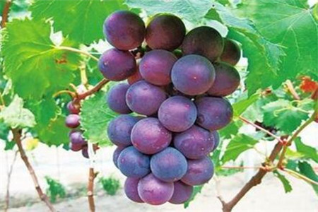 消化不良试试四种方法改善