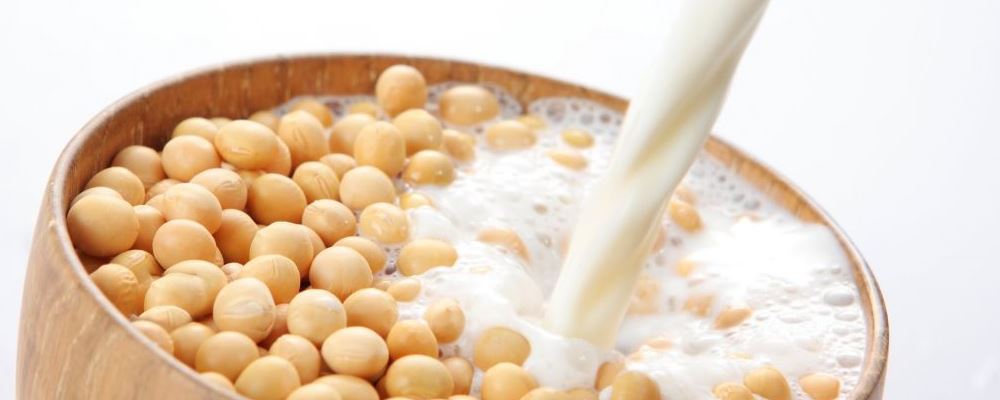 经期可以喝豆浆吗 来月经喝热豆浆好处多