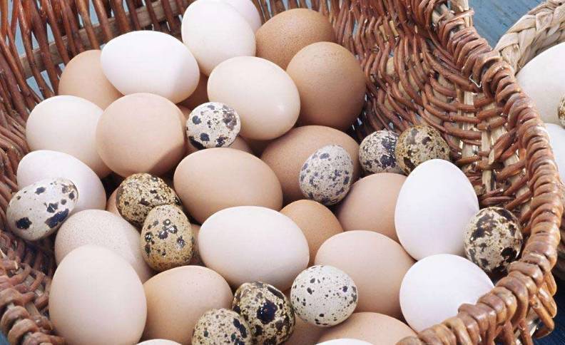 孕期吃鹅蛋有什么好处？