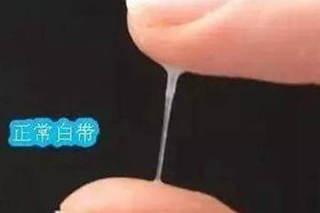 排卵期白带会增多吗2 排卵期白带会增多吗