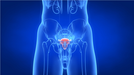 男性结扎影响性功能吗