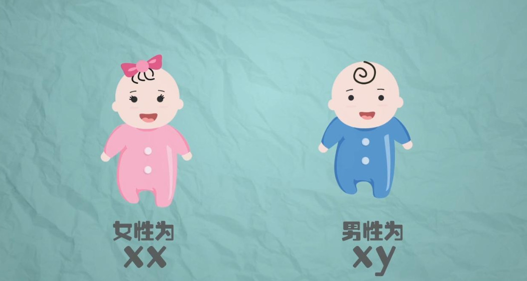 2021年生女孩的月份表