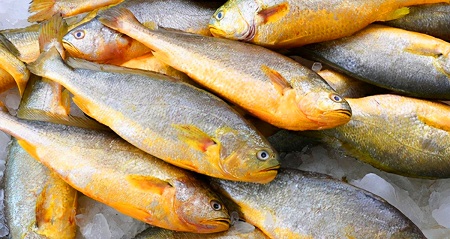 孕期吃什么鱼好？又有哪些鱼不能吃？