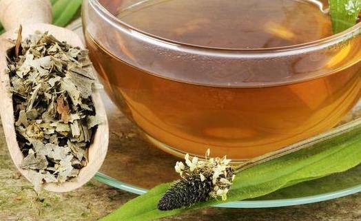 痛风是什么原因引起的 车前草对痛风有什么用？