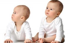 怀双胞胎几个月能查出来