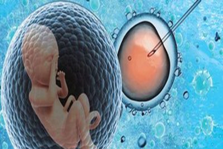 影响卵子质量的因素有哪些？了解女性保健知识拥有完美人生