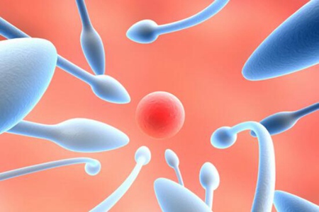 想生儿子怎么备孕？这三个科学健康备孕方法助力圆梦