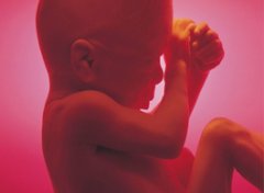 【胎儿打嗝】胎儿打嗝是什么原因_胎儿打嗝是什么感觉