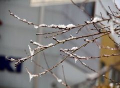 【倒春寒什么意思】_倒春寒是什么时候_倒春寒穿什么衣服