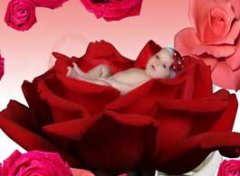 【宝宝花粉过敏】宝宝花粉过敏的症状_宝宝花粉过敏怎么办