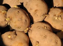 【食物中毒】食物中毒症状_食物中毒怎么办