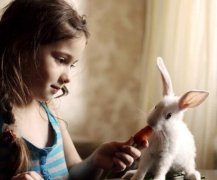 【宝宝4岁3个月】4岁3个月宝宝发育指标_4岁3个月宝宝怎么教育