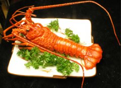 孕妇可以吃龙虾吗