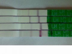 排卵试纸怎么用