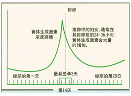 【受孕最佳时间】受孕最佳年龄_受孕最佳季节