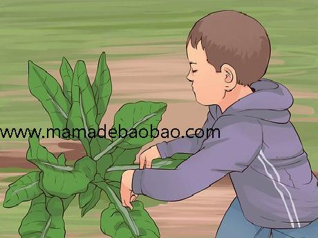 3种方法来布置教室（找到创意）