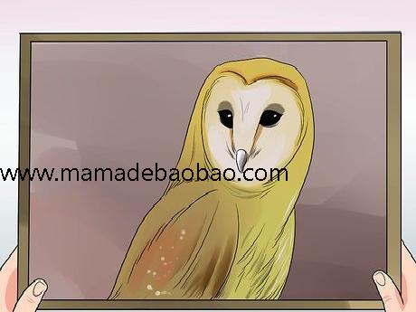 如何策划并承办寻宝游戏（组织寻宝游戏）