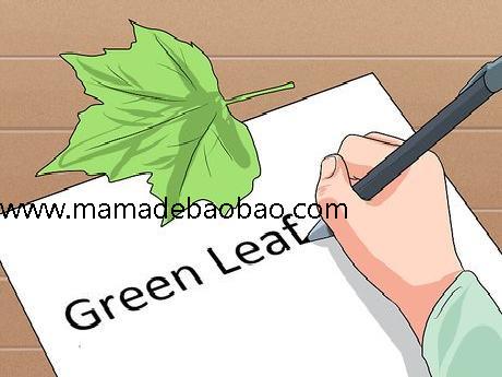 如何策划并承办寻宝游戏（组织寻宝游戏）